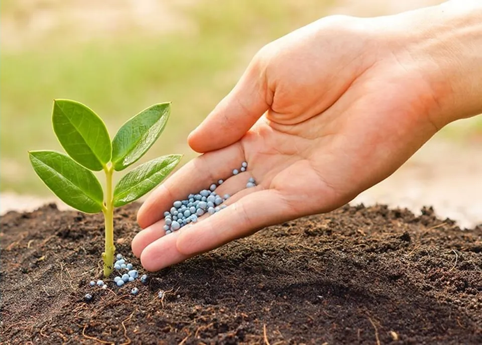 why ibg biofertilizer
