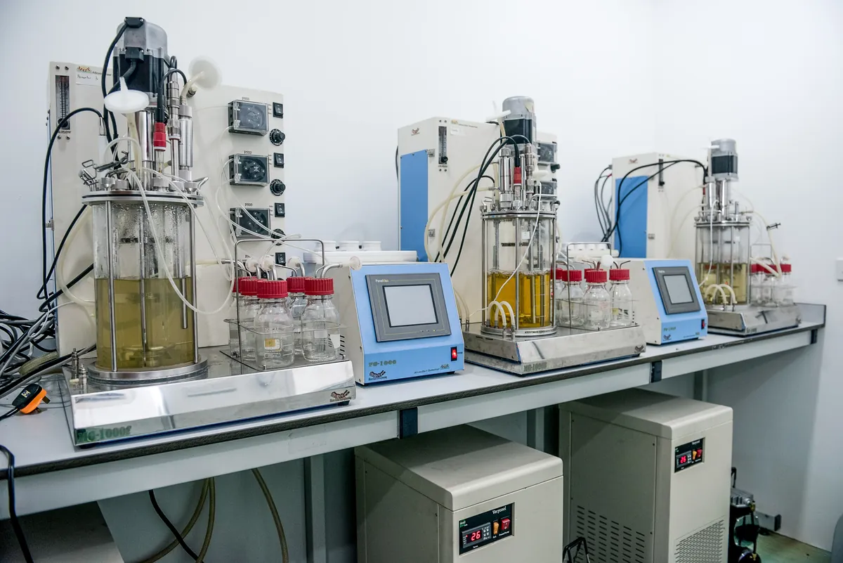why ibg biofertilizer