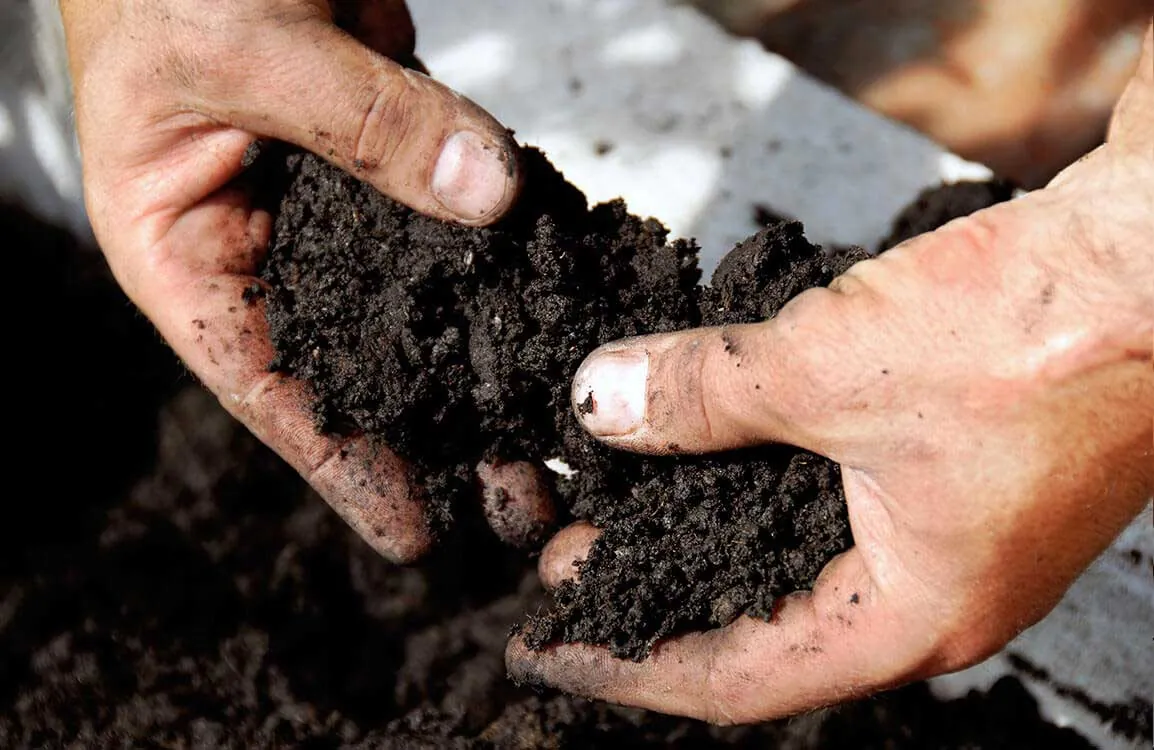 plantation services